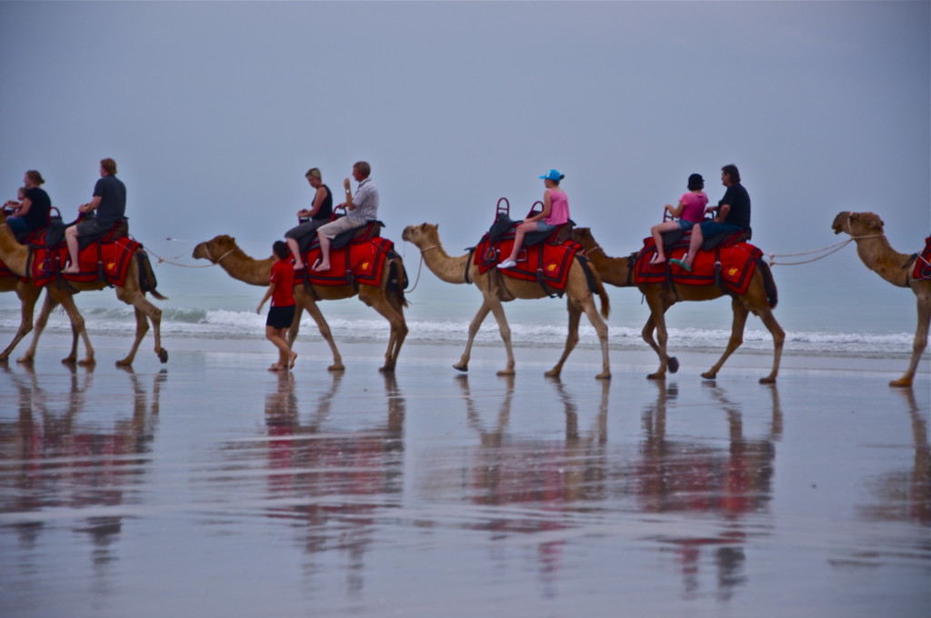 Riding the camels on The Broome Beach. 