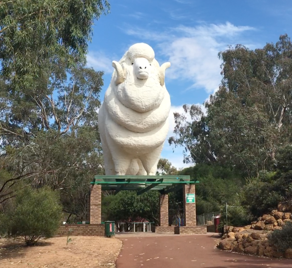 This Giant Ram is in a small town by the name of Wagin