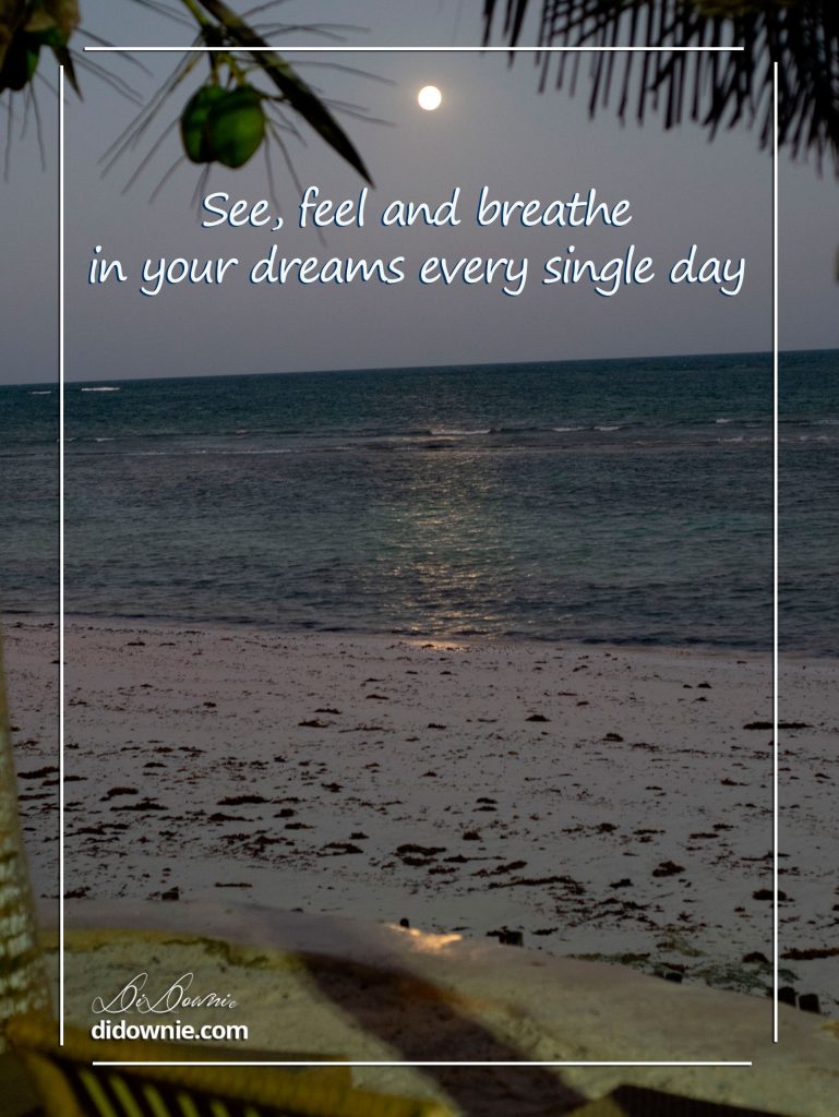 see, feel and breathe in your dreams every single day